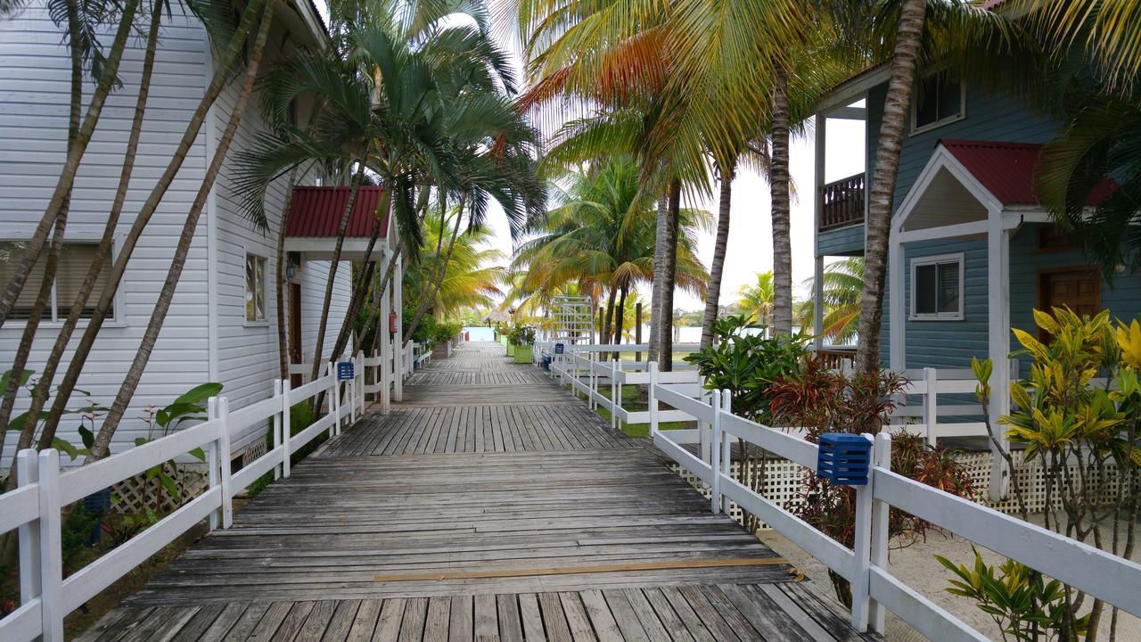 Las Palmas Beach Hotel Dixon Cove Zewnętrze zdjęcie